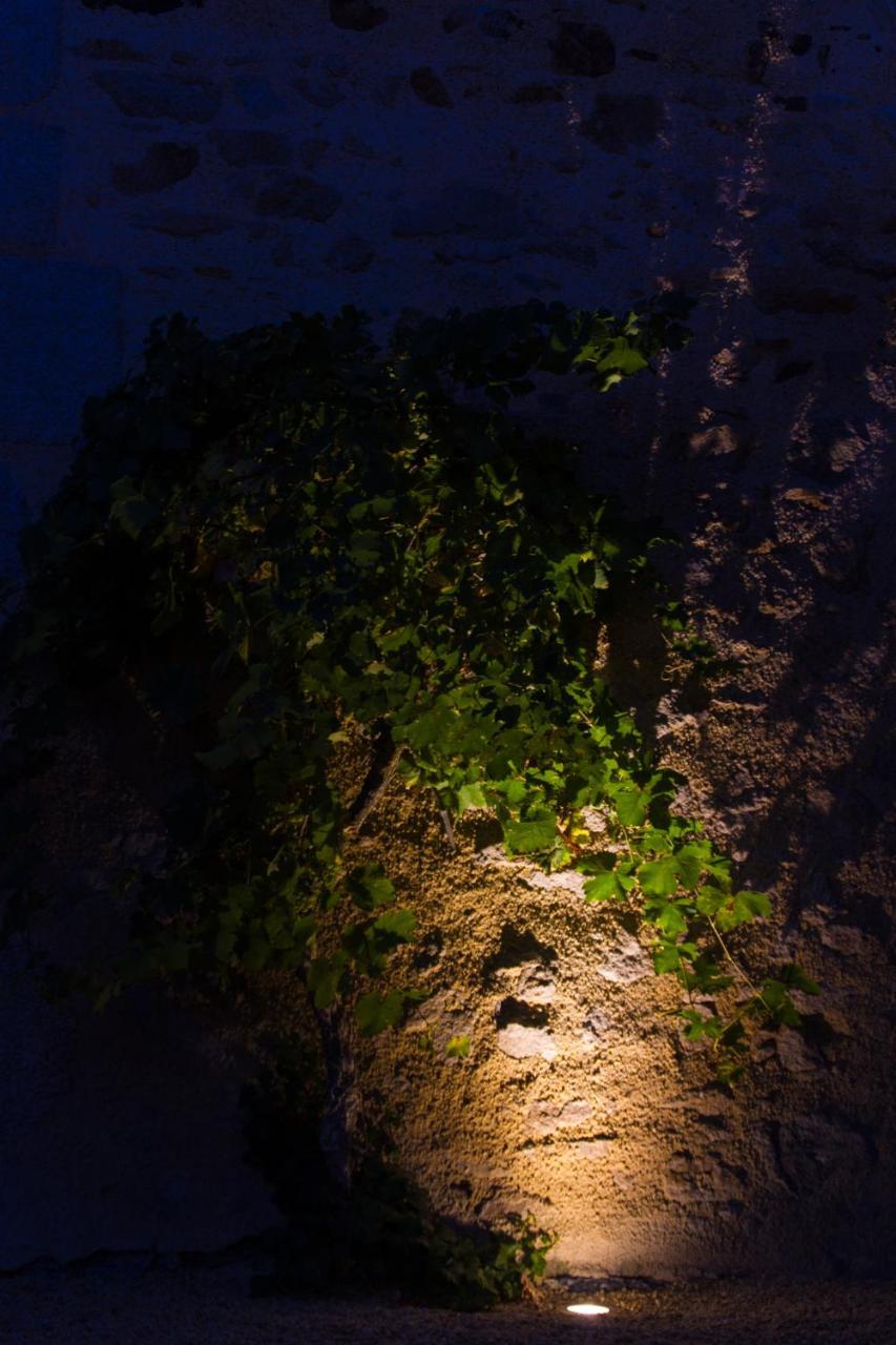 Le Puy Carmin - Chambre d'hôtes avec jacuzzi Bazoges-en-Paillers Exterior foto